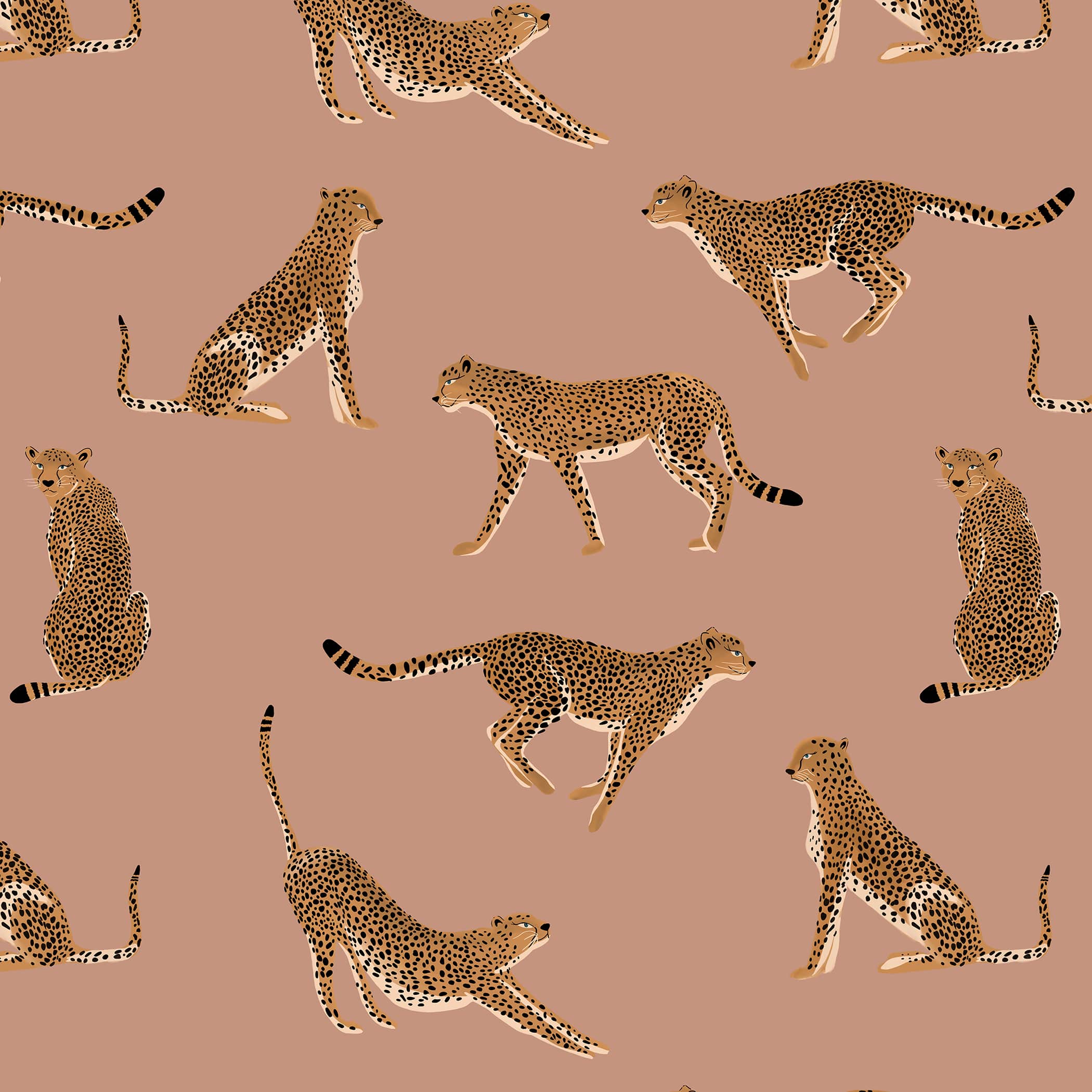 Motif illustré – design textile et papeterie – Rhoedaé