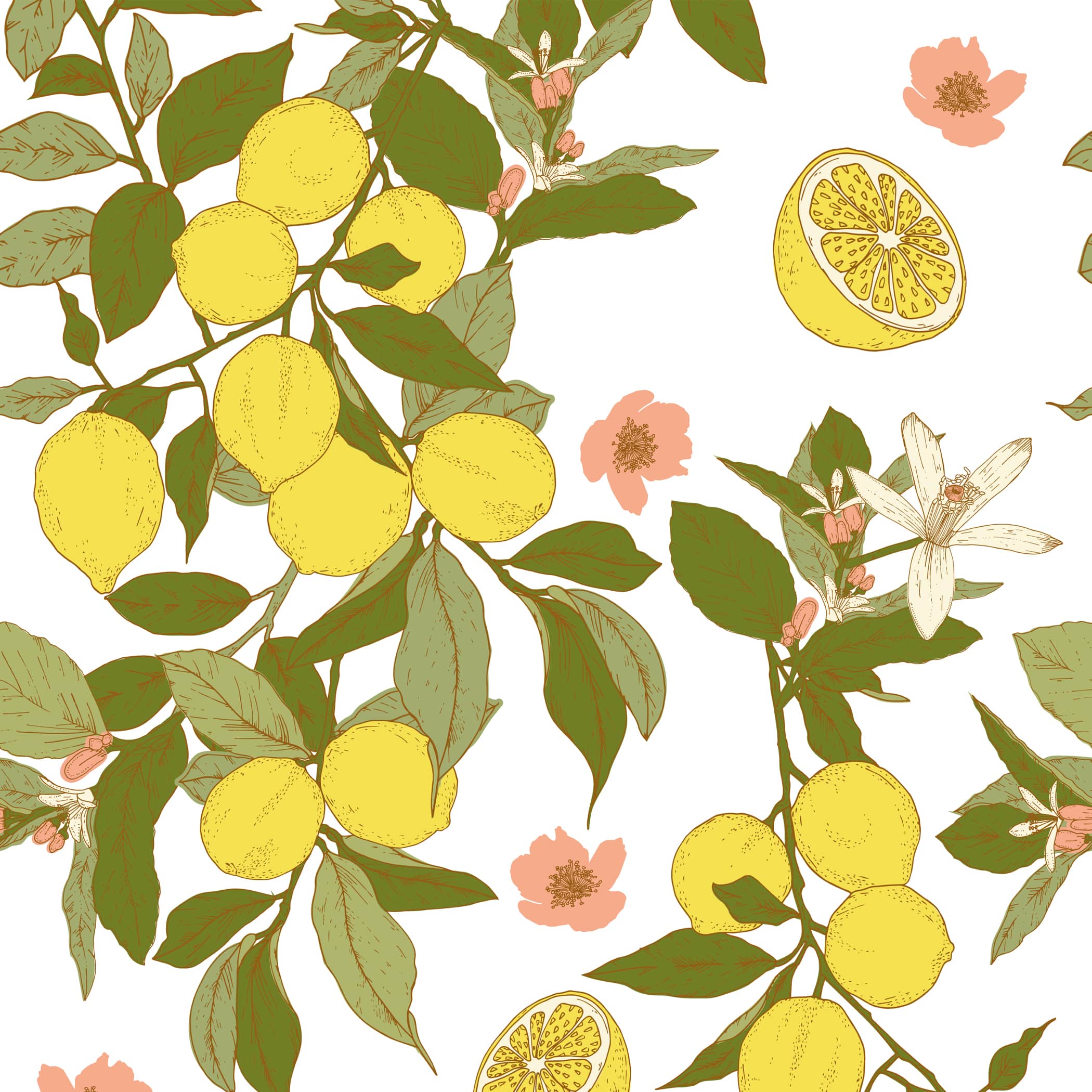 Motif illustré – design textile et papeterie – Rhoedaé